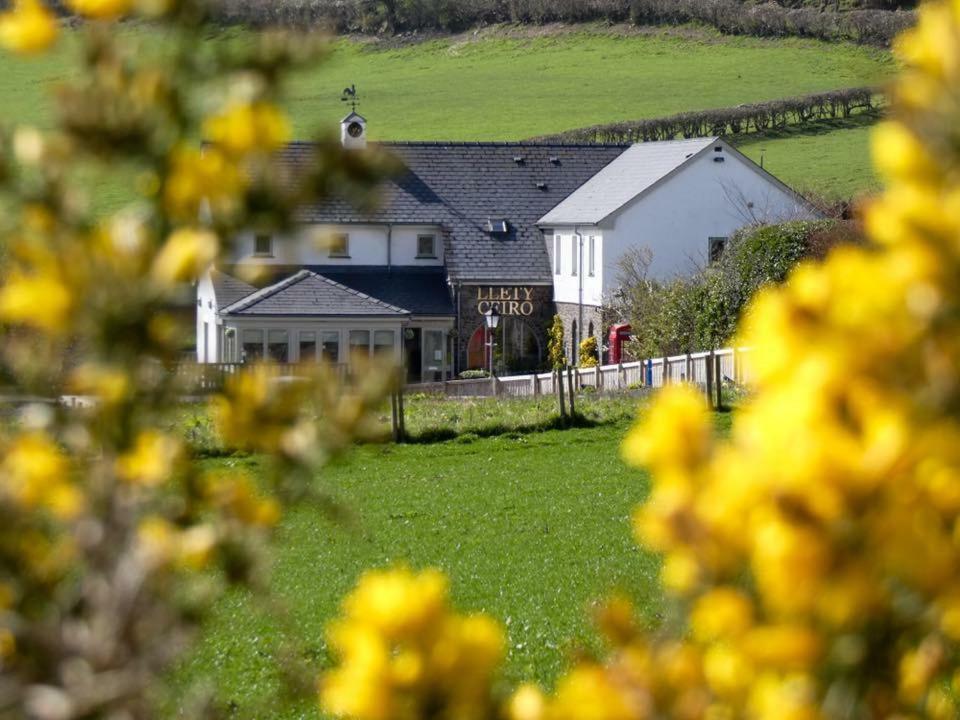 Llety Ceiro Guesthouse Aberystwyth Extérieur photo